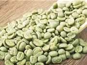 Chiết xuất hoạt chất giảm cân từ cà phê xanh